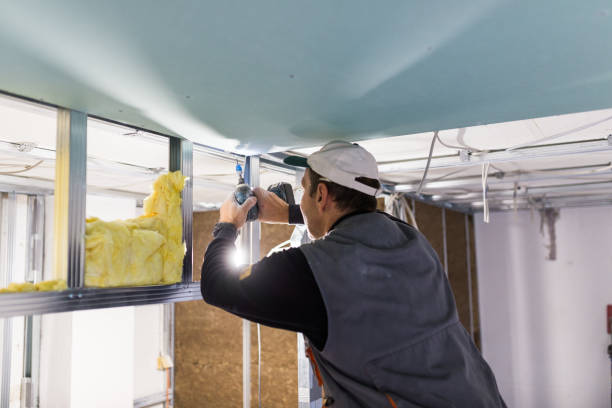 Best Insulation Contractors for Homes  in Glen Lyon, PA