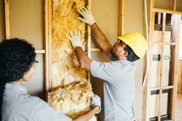 Best Local Insulation Services  in Glen Lyon, PA